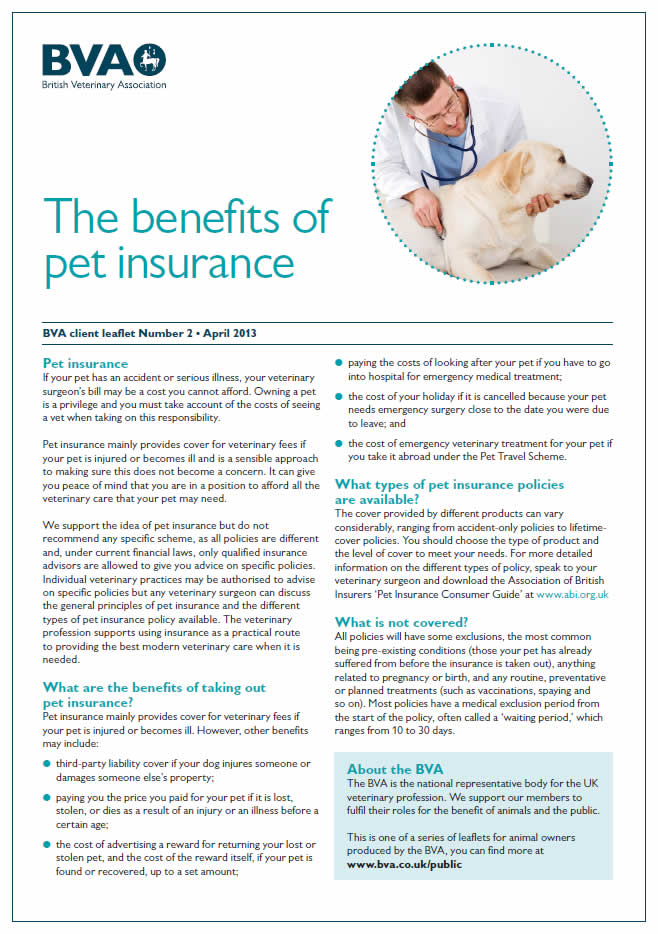 pet insurance information 