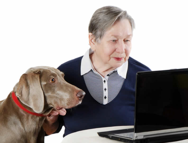 senior citizen and weimeraner dog looking at laptop oak house vets 