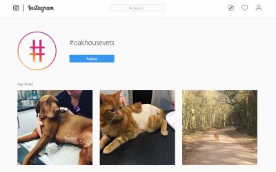 Oak House Vets on Instagram!