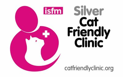 We achieve the ISFM Cat Friendly Clinic Award